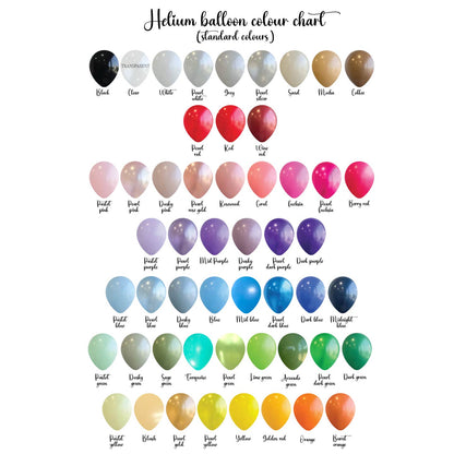 ❤️  24" Bubble balloons + Delivery